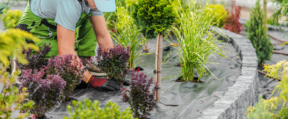 En person sitter på huk och planterar växter i en rabatt.